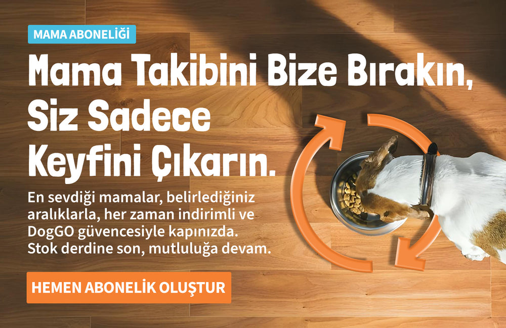 Mama Abonelikleri - DogGO
