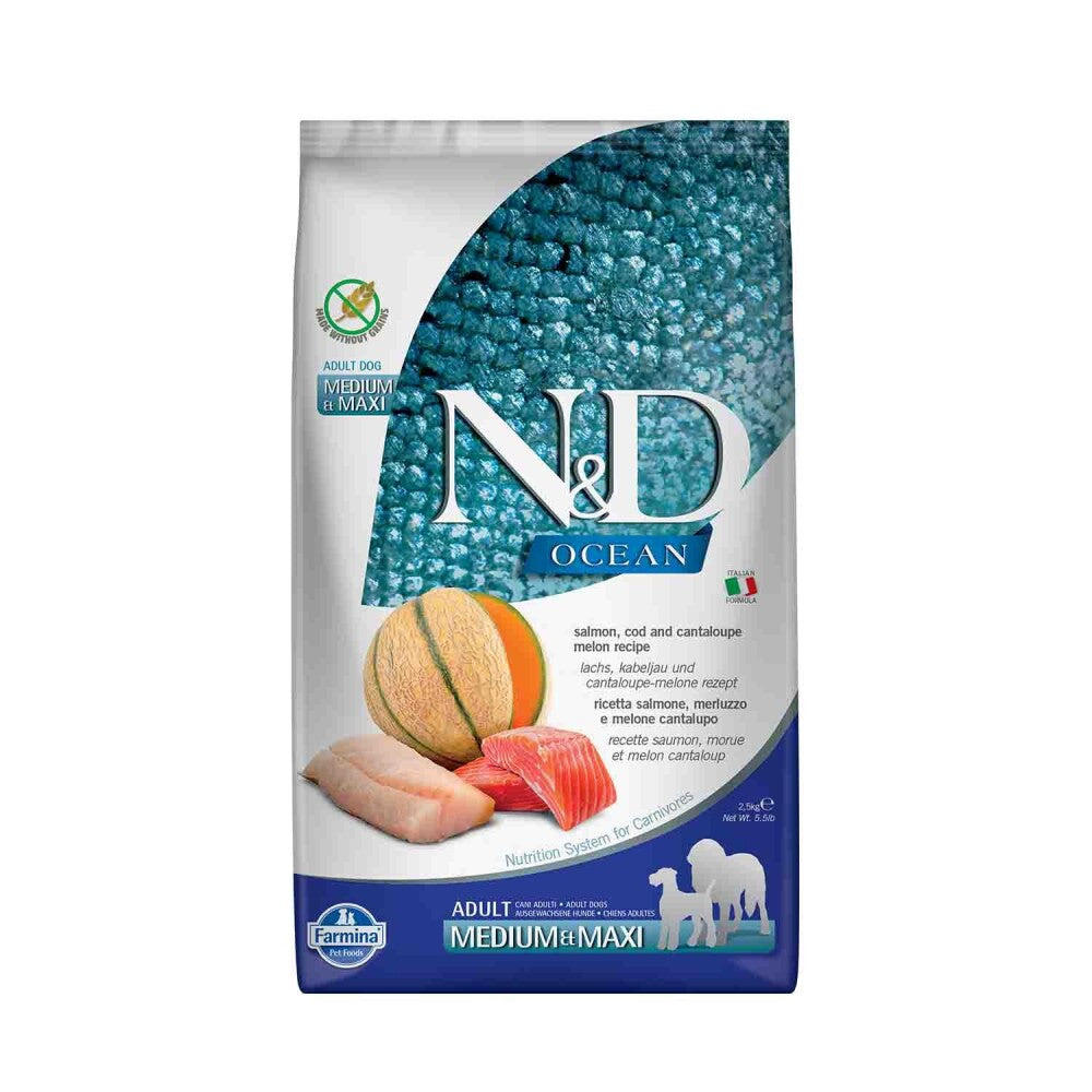 N&d Ocean Morina Balıklı Bal Kabaklı Ve Kavunlu Orta Ve Büyük Irk Tahılsız Yetişkin Köpek Maması 2.5 KG  | SRC: Barcode: 8010276039316