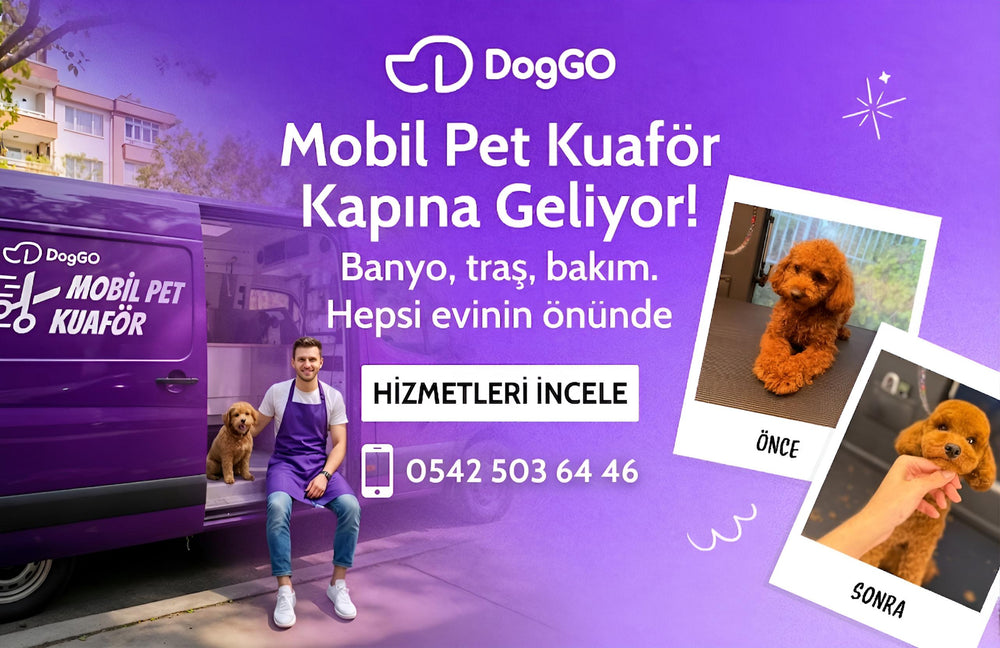 Yenimahalle Mobil Pet Kuaför - DogGO