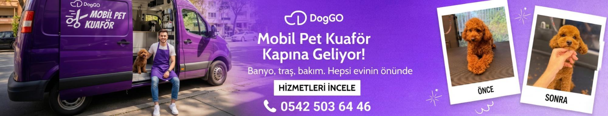 Yenimahalle Mobil Pet Kuaför - DogGO