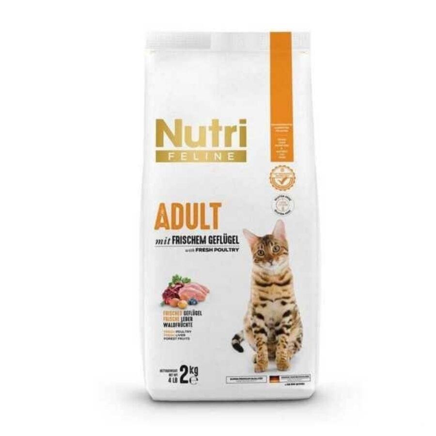 Nutri Feline Nutri Glutensiz Kümes Hayvanlı Düşük Tahıllı Yetişkin Kedi Maması 2 KG  | SRC: Barcode: 8699310420381