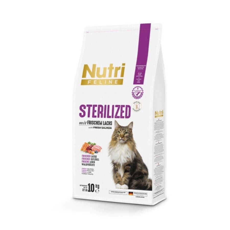 Nutri Feline Sterilized Somonlu Tahılsız Kısırlaştırılmış Kedi Maması 10 KG  | SRC: Barcode: 8699310420237