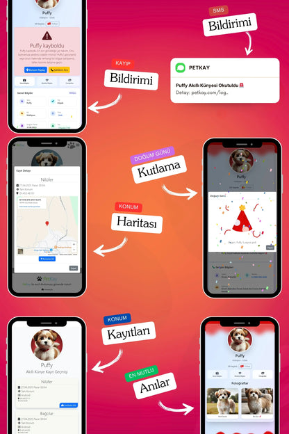 Petkay Köpekler Için Akıllı Künye, Nfc Dijital Isimlik Ve Tasma Künyesi Qr Kod Künye Paslanmaz Çelik Kırmızı Kırmızı  | SRC: Barcode: 869120826064.0