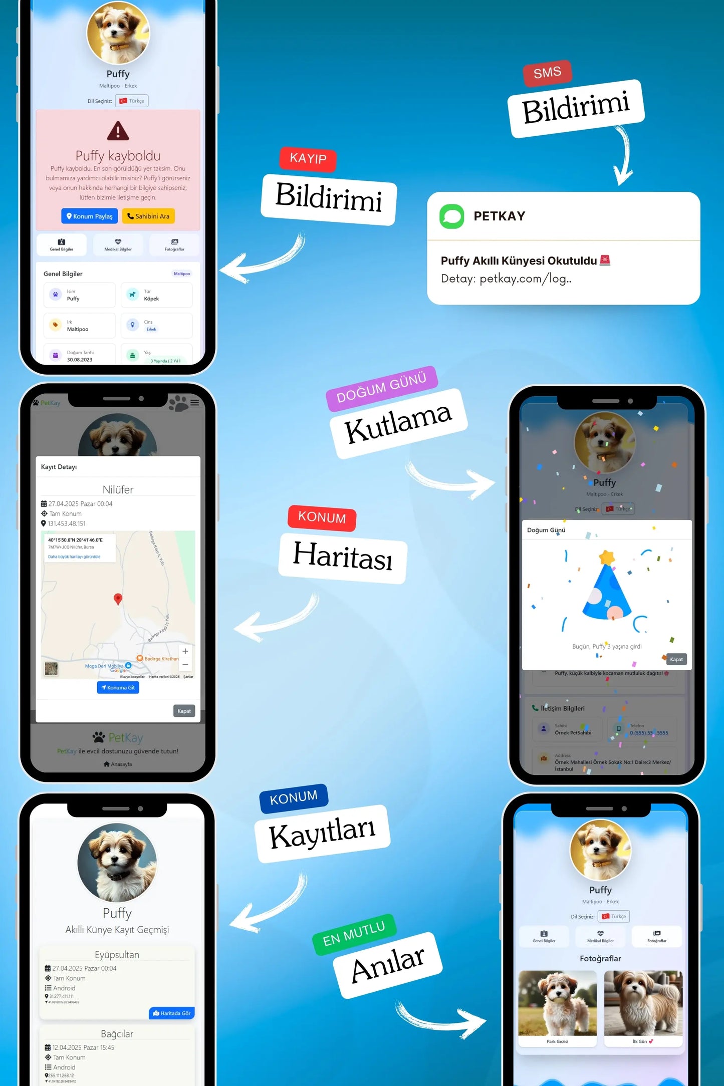 Petkay Köpekler Için Akıllı Künye, Nfc Dijital Isimlik Ve Tasma Künyesi Qr Kod Künye Paslanmaz Çelik Mavi Mavi  | SRC: Barcode: 869120826064.0
