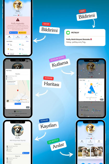 Petkay Köpekler Için Akıllı Künye, Nfc Dijital Isimlik Ve Tasma Künyesi Qr Kod Künye Paslanmaz Çelik Mavi Mavi  | SRC: Barcode: 869120826064.0