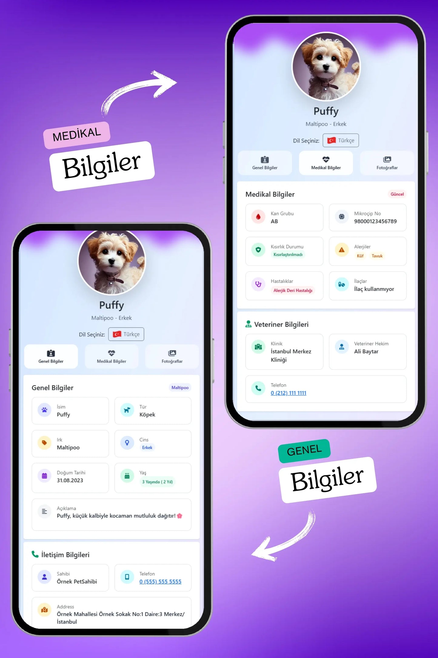 Petkay Köpekler Için Akıllı Künye, Nfc Dijital Isimlik Ve Tasma Künyesi Qr Kod Künye Paslanmaz Çelik Mor Mor  | SRC: Barcode: 869120826064.0