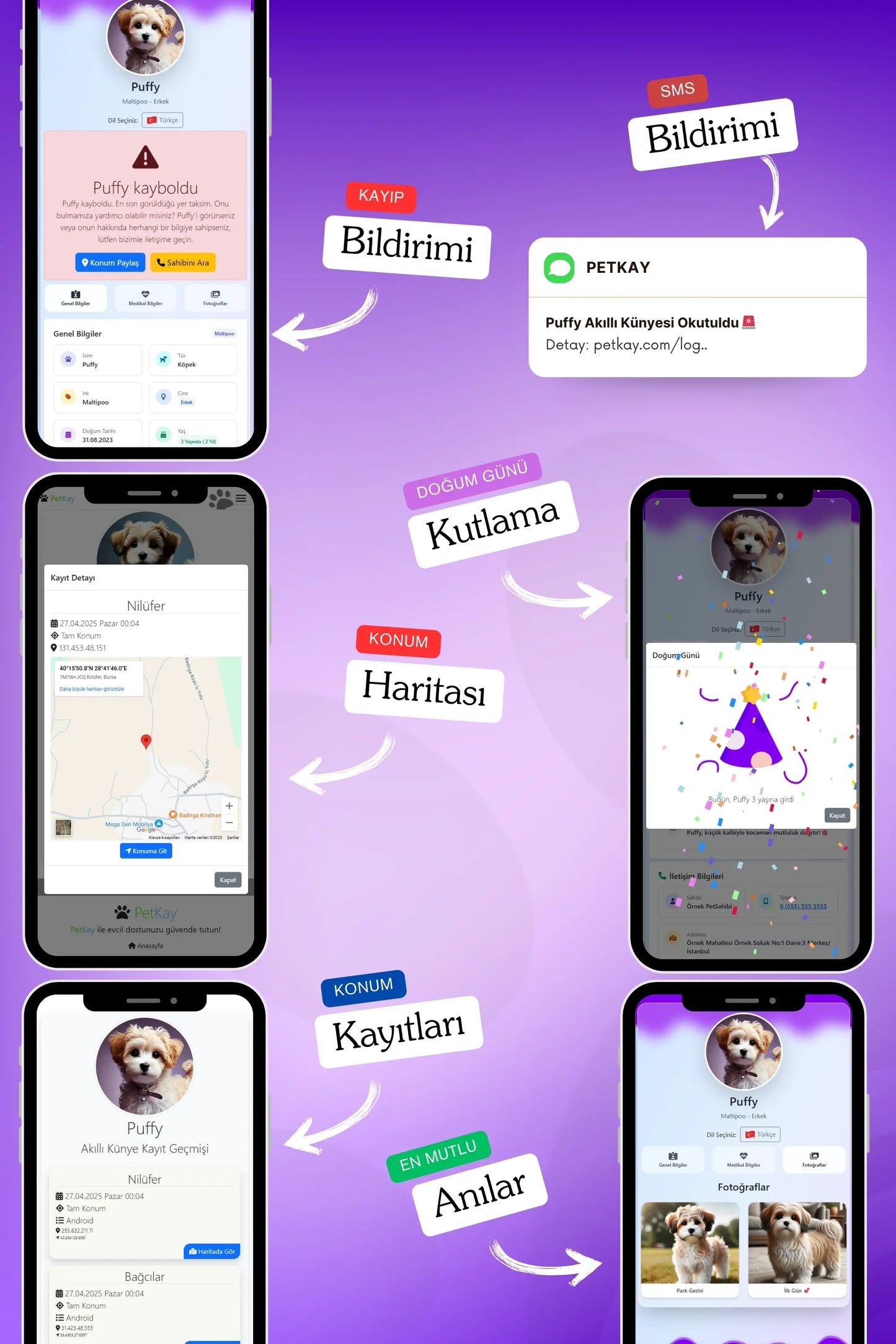 Petkay Köpekler Için Akıllı Künye, Nfc Dijital Isimlik Ve Tasma Künyesi Qr Kod Künye Paslanmaz Çelik Mor Mor  | SRC: Barcode: 869120826064.0