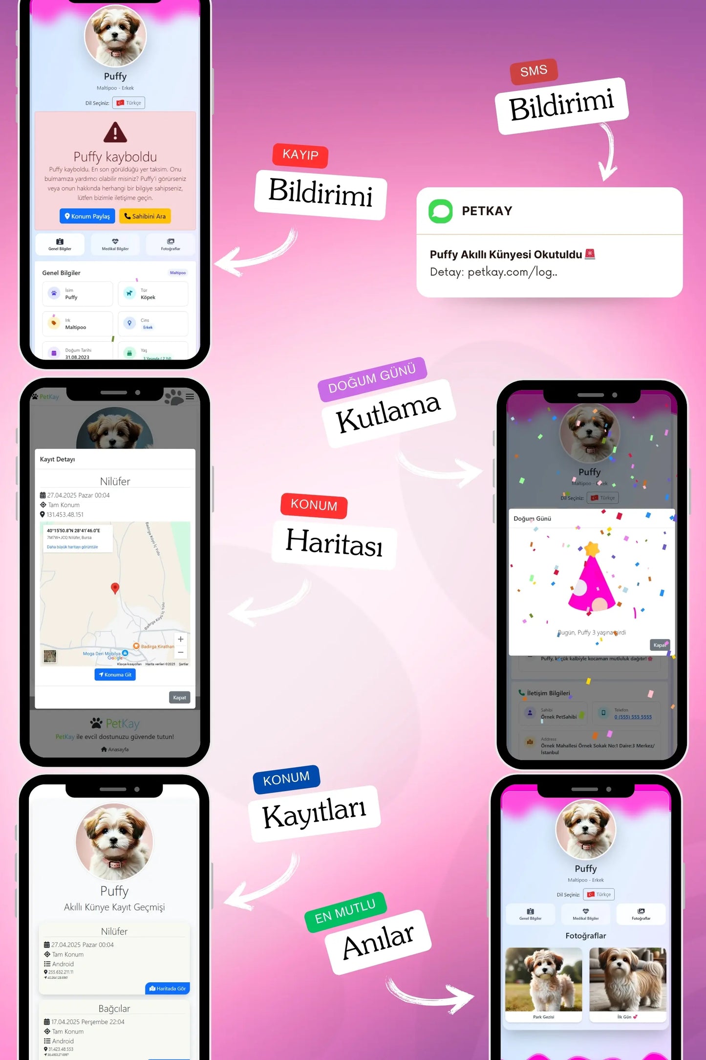 Petkay Köpekler Için Akıllı Künye, Nfc Dijital Isimlik Ve Tasma Künyesi Qr Kod Künye Paslanmaz Çelik Pembe Pembe  | SRC: Barcode: 869120826064.0