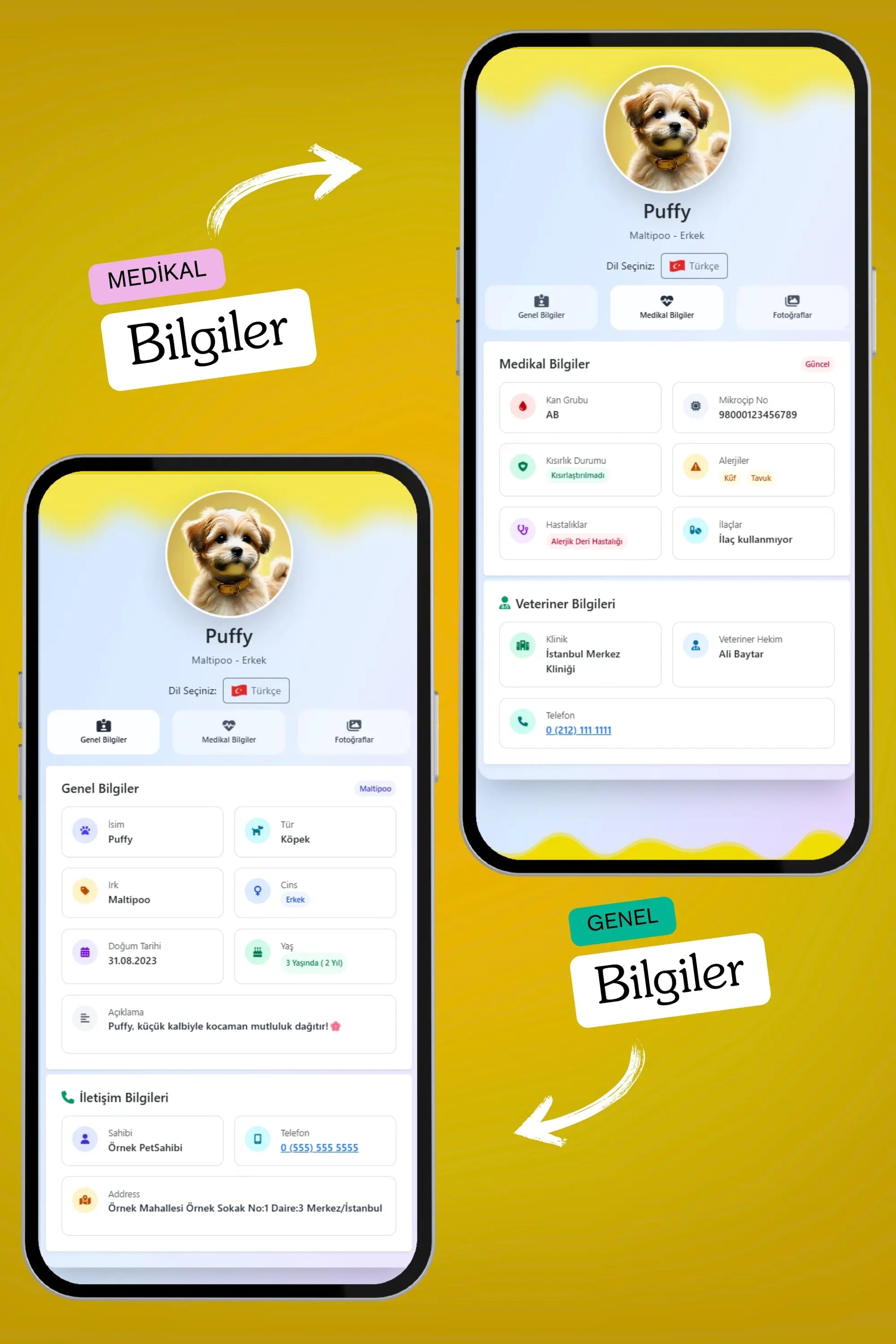 Petkay Köpekler Için Akıllı Künye, Nfc Dijital Isimlik Ve Tasma Künyesi Qr Kod Künye Paslanmaz Çelik Sarı Sarı  | SRC: Barcode: 869120826064.0