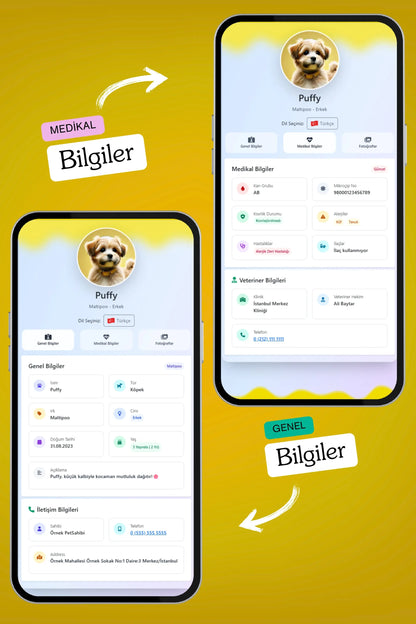 Petkay Köpekler Için Akıllı Künye, Nfc Dijital Isimlik Ve Tasma Künyesi Qr Kod Künye Paslanmaz Çelik Sarı Sarı  | SRC: Barcode: 869120826064.0