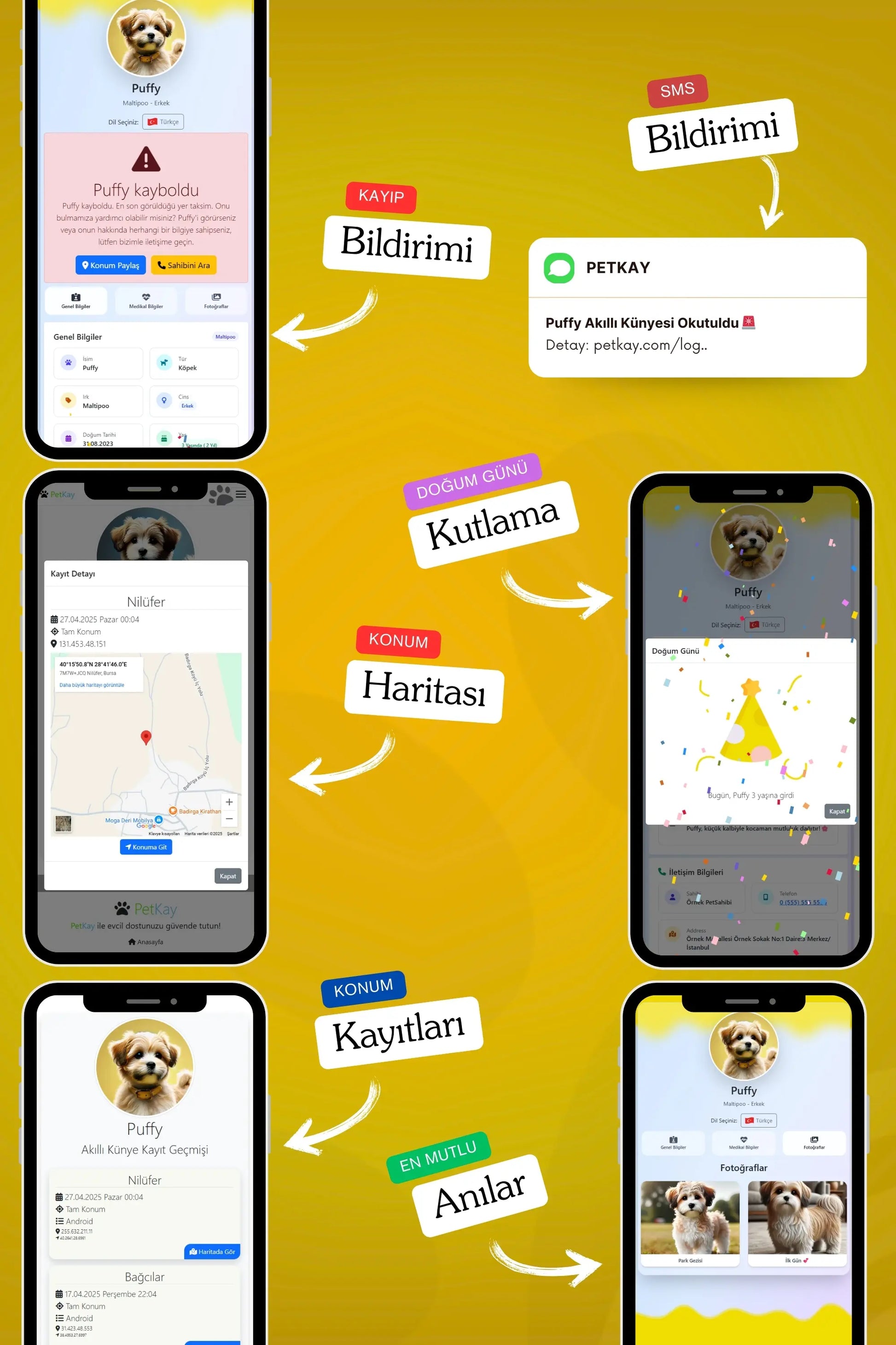 Petkay Köpekler Için Akıllı Künye, Nfc Dijital Isimlik Ve Tasma Künyesi Qr Kod Künye Paslanmaz Çelik Sarı Sarı  | SRC: Barcode: 869120826064.0