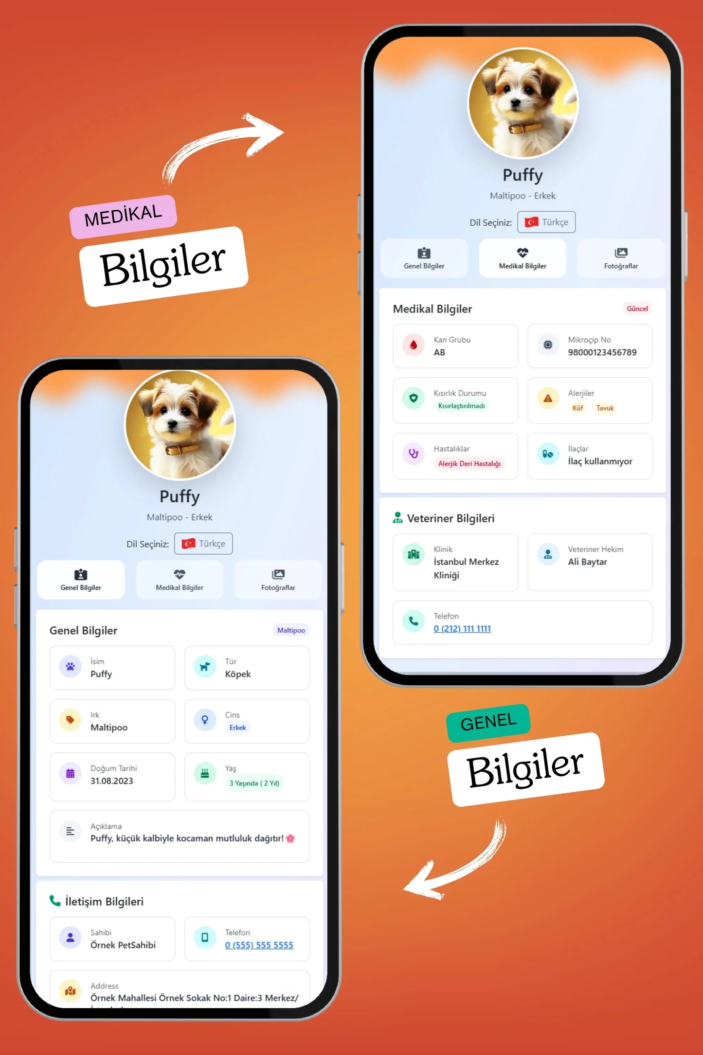 Petkay Köpekler Için Akıllı Künye, Nfc Dijital Isimlik Ve Tasma Künyesi Qr Kod Künye Paslanmaz Çelik Turuncu Turuncu  | SRC: Barcode: 869120826064.0