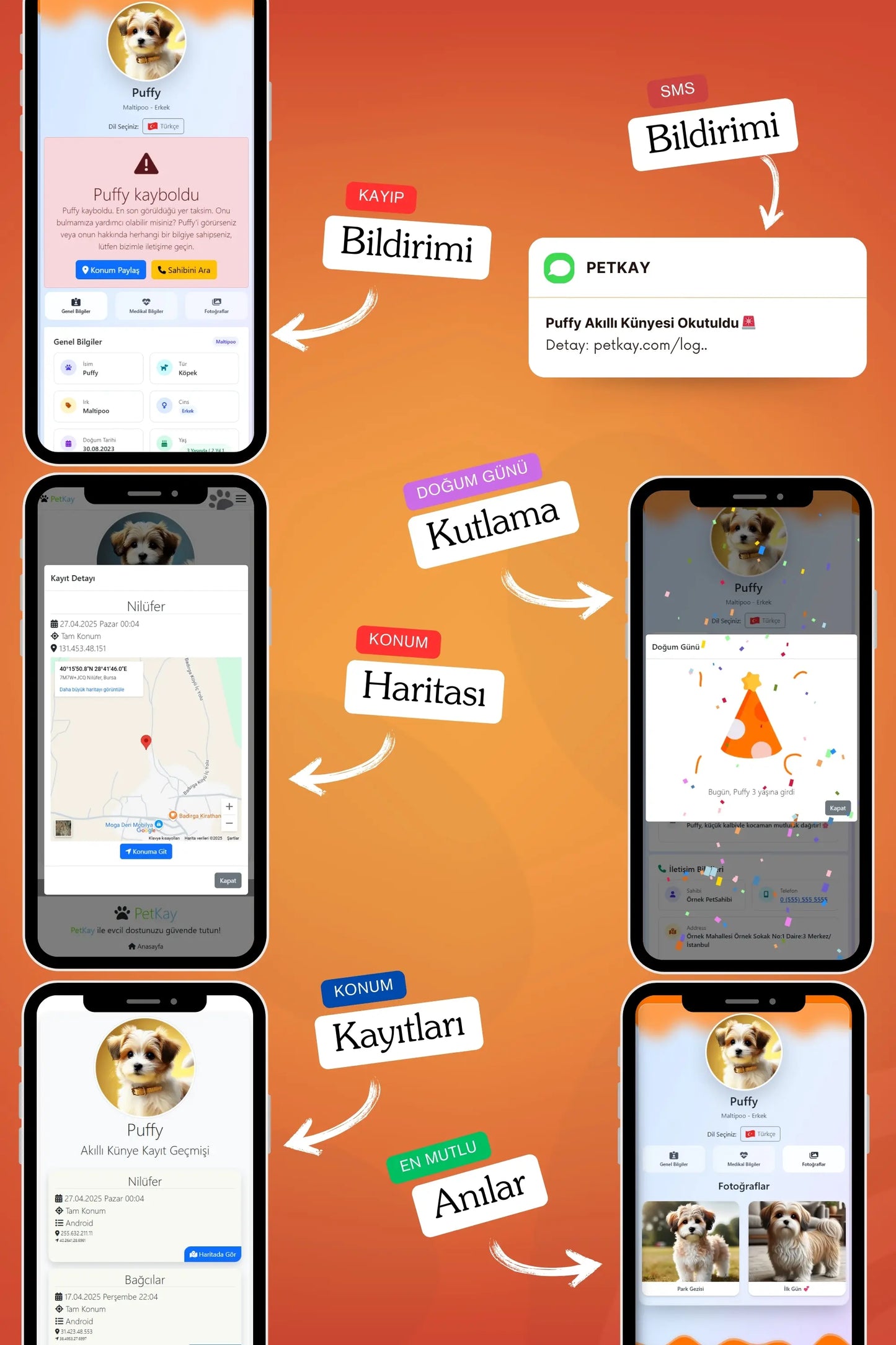 Petkay Köpekler Için Akıllı Künye, Nfc Dijital Isimlik Ve Tasma Künyesi Qr Kod Künye Paslanmaz Çelik Turuncu Turuncu  | SRC: Barcode: 869120826064.0