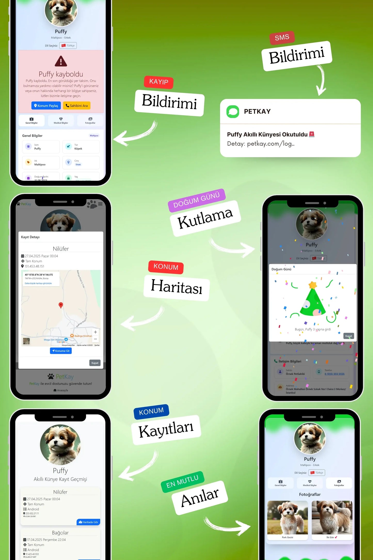 Petkay Köpekler Için Akıllı Künye, Nfc Dijital Isimlik Ve Tasma Künyesi Qr Kod Künye Paslanmaz Çelik Yeşil Yeşil  | SRC: Barcode: 869120826064.0