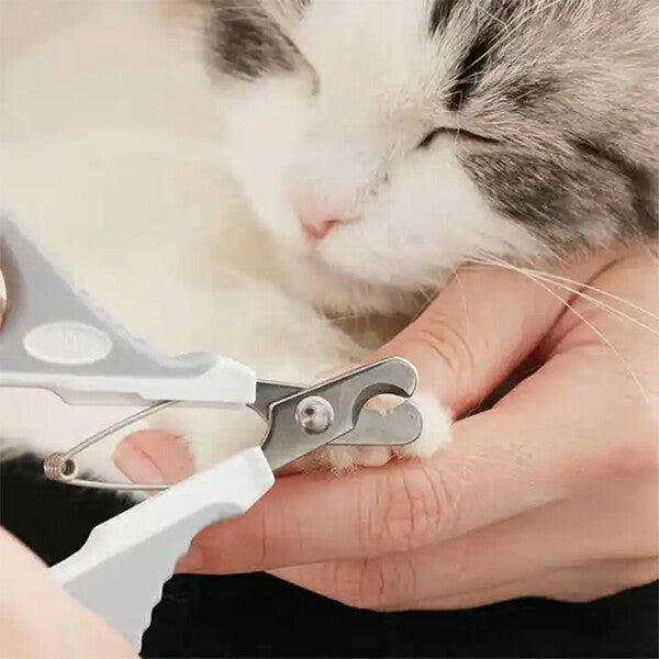 Petzz Kedi Ve Köpek Tırnak Makası 2X12 CM  | SRC: Barcode: 6904325233799