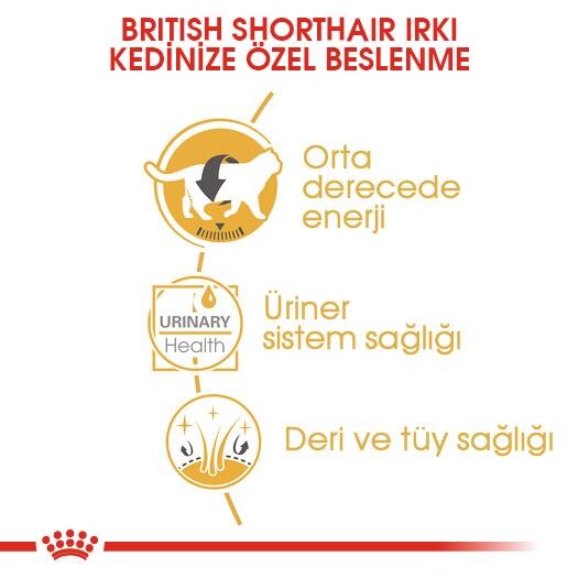 Royal Canin British Shorthair Pouch Yetişkin Kedi Konservesi 85 GR  | SRC: Barcode: 9003579001257