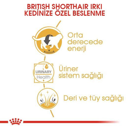 Royal Canin British Shorthair Pouch Yetişkin Kedi Konservesi 85 GR  | SRC: Barcode: 9003579001257