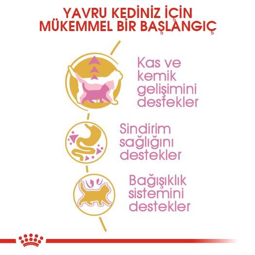 Royal Canin British Shorthair İçin Özel Yavru Kedi Maması 2 KG  | SRC: Barcode: 3182550816533