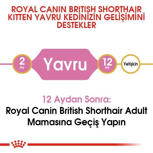 Royal Canin British Shorthair İçin Özel Yavru Kedi Maması 2 KG  | SRC: Barcode: 3182550816533