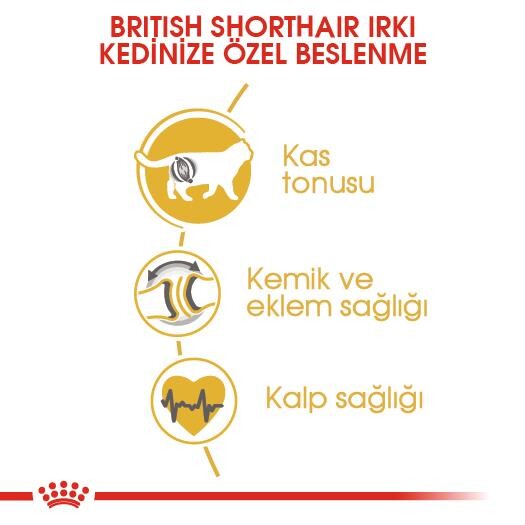Royal Canin British Shorthair İçin Özel Irk Yetişkin Kedi Maması 10 KG  | SRC: Barcode: 3182550756464