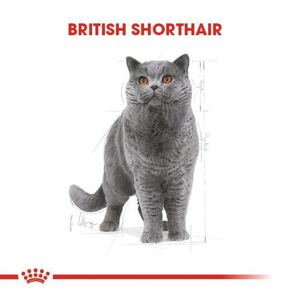 Royal Canin British Shorthair İçin Özel Irk Yetişkin Kedi Maması 2 KG  | SRC: Barcode: 3182550756419
