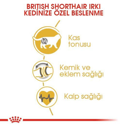 Royal Canin British Shorthair İçin Özel Irk Yetişkin Kedi Maması 4 KG  | SRC: Barcode: 3182550756440
