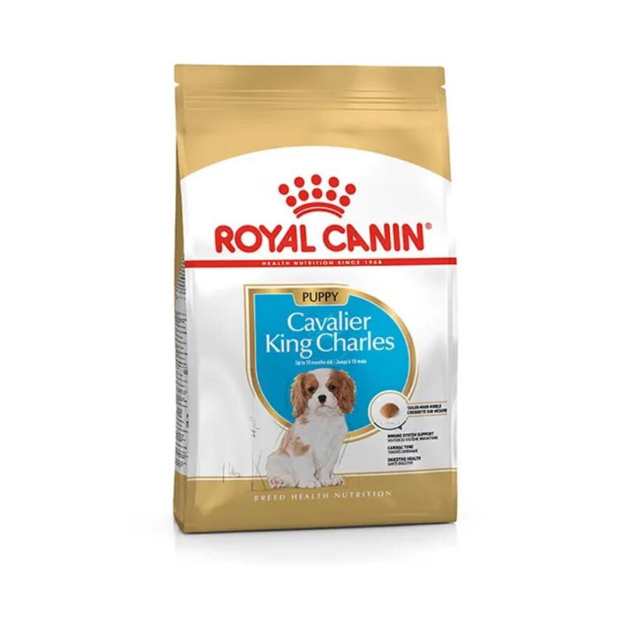 Royal Canin Cavalier King Charles Yavru Köpek Maması 1.5 KG  | SRC: Barcode: 3182550813051