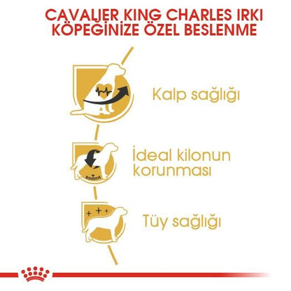 Royal Canin Cavalier King Charles Yetişkin Köpek Maması 1.5 KG  | SRC: Barcode: 3182550743501