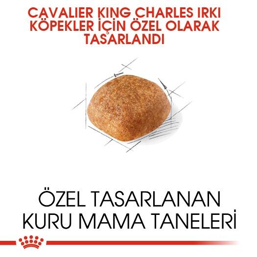 Royal Canin Cavalier King Charles Yetişkin Köpek Maması 1.5 KG  | SRC: Barcode: 3182550743501