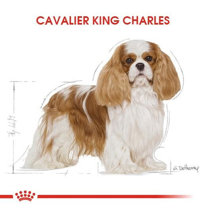 Royal Canin Cavalier King Charles Yetişkin Köpek Maması 3 KG  | SRC: Barcode: 3182550777698
