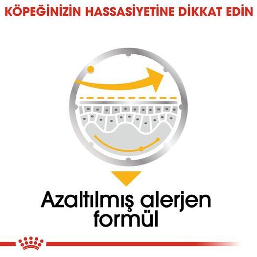 Royal Canin Ccn Dermacomfort Pouch Deri Hassasiyetli Yetişkin Köpek Konservesi 85 GR  | SRC: Barcode: 9003579008829