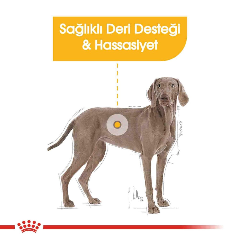 Royal Canin Ccn Dermacomfort Maxi Büyük Irk Yetişkin Köpek Maması 12 KG  | SRC: Barcode: 3182550928540