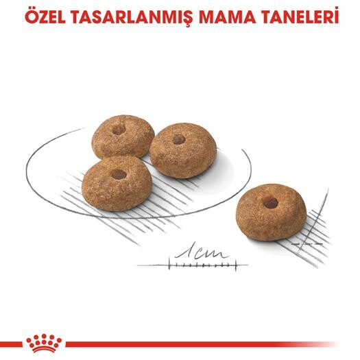 Royal Canin Ccn Kısırlaştırılmış Mini Irk Yetişkin Köpek Maması 3 KG  | SRC: Barcode: 3182550894128