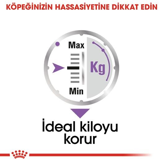 Royal Canin Ccn Exigent Pouch Kısırlaştırılmış Yetişkin Köpek Konservesi 85 GR  | SRC: Barcode: 9003579008744