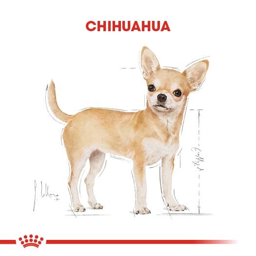 Royal Canin Chihuahua Yetişkin Köpek Maması 1.5 KG  | SRC: Barcode: 3182550728102