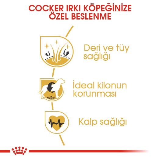 Royal Canin Cocker Özel Irk Yetişkin Köpek Maması 3 KG  | SRC: Barcode: 3182550743709