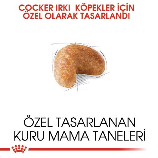 Royal Canin Cocker Özel Irk Yetişkin Köpek Maması 3 KG  | SRC: Barcode: 3182550743709
