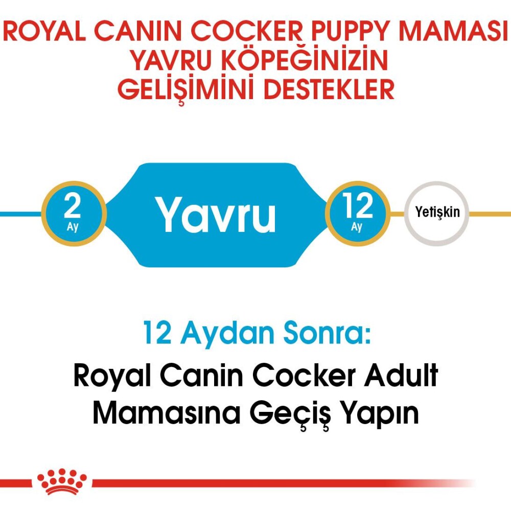 Royal Canin Cocker Puppy Yavru Köpek Maması 3 KG  | SRC: Barcode: 3182550813211