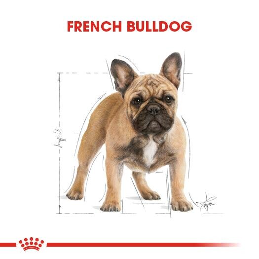 Royal Canin French Bulldog Yetişkin Köpek Maması 3 KG  | SRC: Barcode: 3182550811637