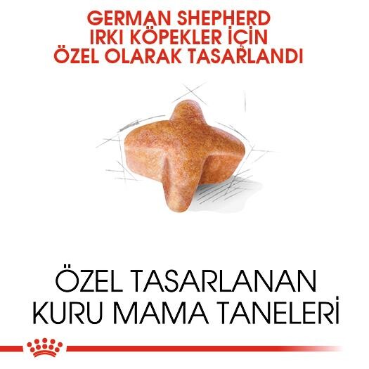 Royal Canin German Shepherd Alman Kurduna Özel Yetişkin Köpek Maması 11 KG  | SRC: Barcode: 3182550892759