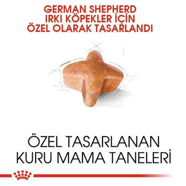 Royal Canin German Shepherd Alman Kurduna Özel Yetişkin Köpek Maması 11 KG  | SRC: Barcode: 3182550892759