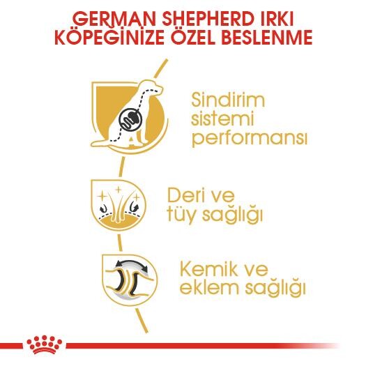 Royal Canin German Shepherd Alman Kurduna Özel Yetişkin Köpek Maması 11 KG  | SRC: Barcode: 3182550892759