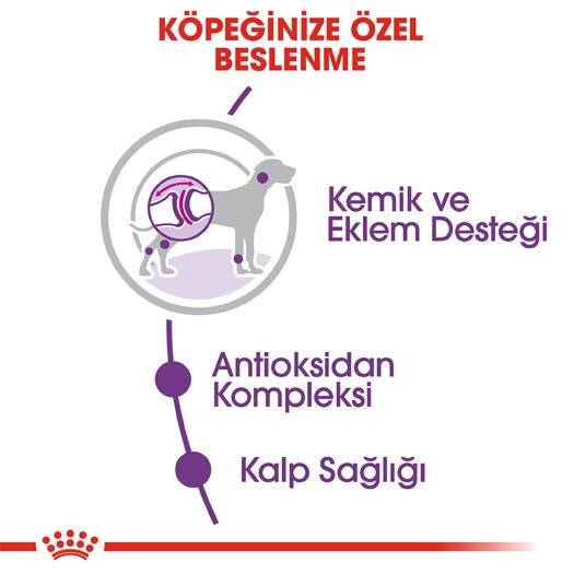 Royal Canin Giant Dev Irk Yetişkin Köpek Maması 15 KG  | SRC: Barcode: 3182550703079