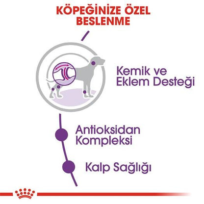 Royal Canin Giant Dev Irk Yetişkin Köpek Maması 15 KG  | SRC: Barcode: 3182550703079