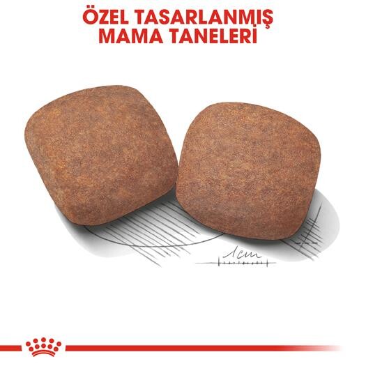 Royal Canin Giant Dev Irk Yetişkin Köpek Maması 15 KG  | SRC: Barcode: 3182550703079