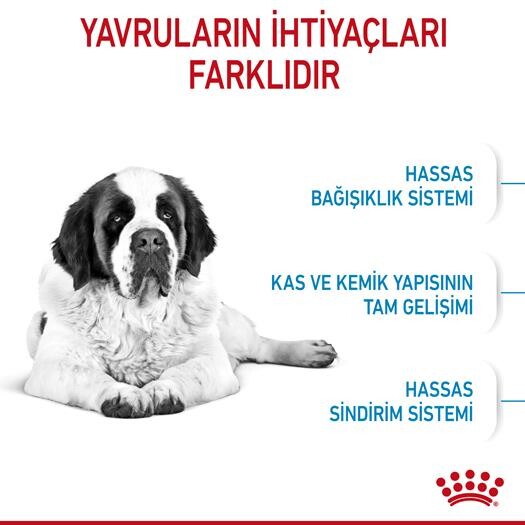 Royal Canin Giant Dev Irk Yavru Köpek Maması 15 KG  | SRC: Barcode: 3182550707077