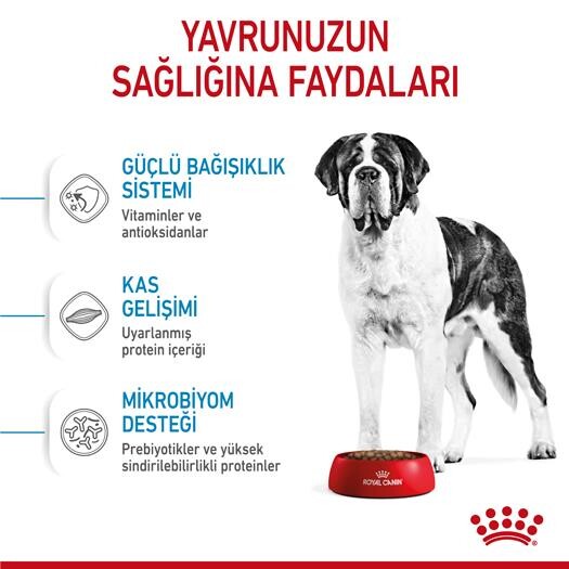Royal Canin Giant Dev Irk Yavru Köpek Maması 15 KG  | SRC: Barcode: 3182550707077