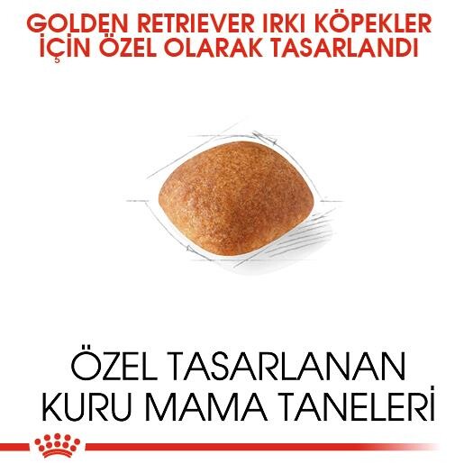 Royal Canin Golden Retriever Yetişkin Köpek Maması 12 KG  | SRC: Barcode: 3182550743440