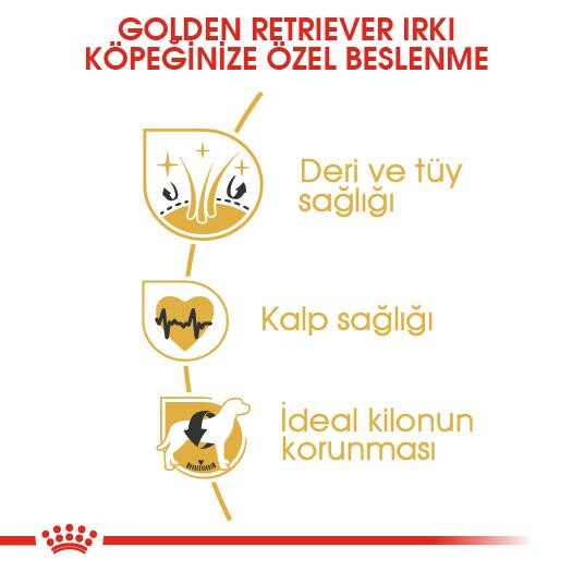 Royal Canin Golden Retriever Yetişkin Köpek Maması 12 KG  | SRC: Barcode: 3182550743440