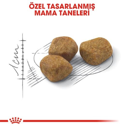 Royal Canin Indoor 7 Yaşlı Kedi Maması 3.5 KG  | SRC: Barcode: 3182550784412